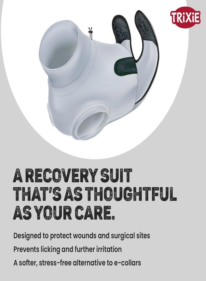 Trixie Protective Body for Cats - M-L (36-42 cm), Soft Recovery Suit for Post-Surgery or Skin Protection, Breathable Grey Cat Bodysuit - Image 3